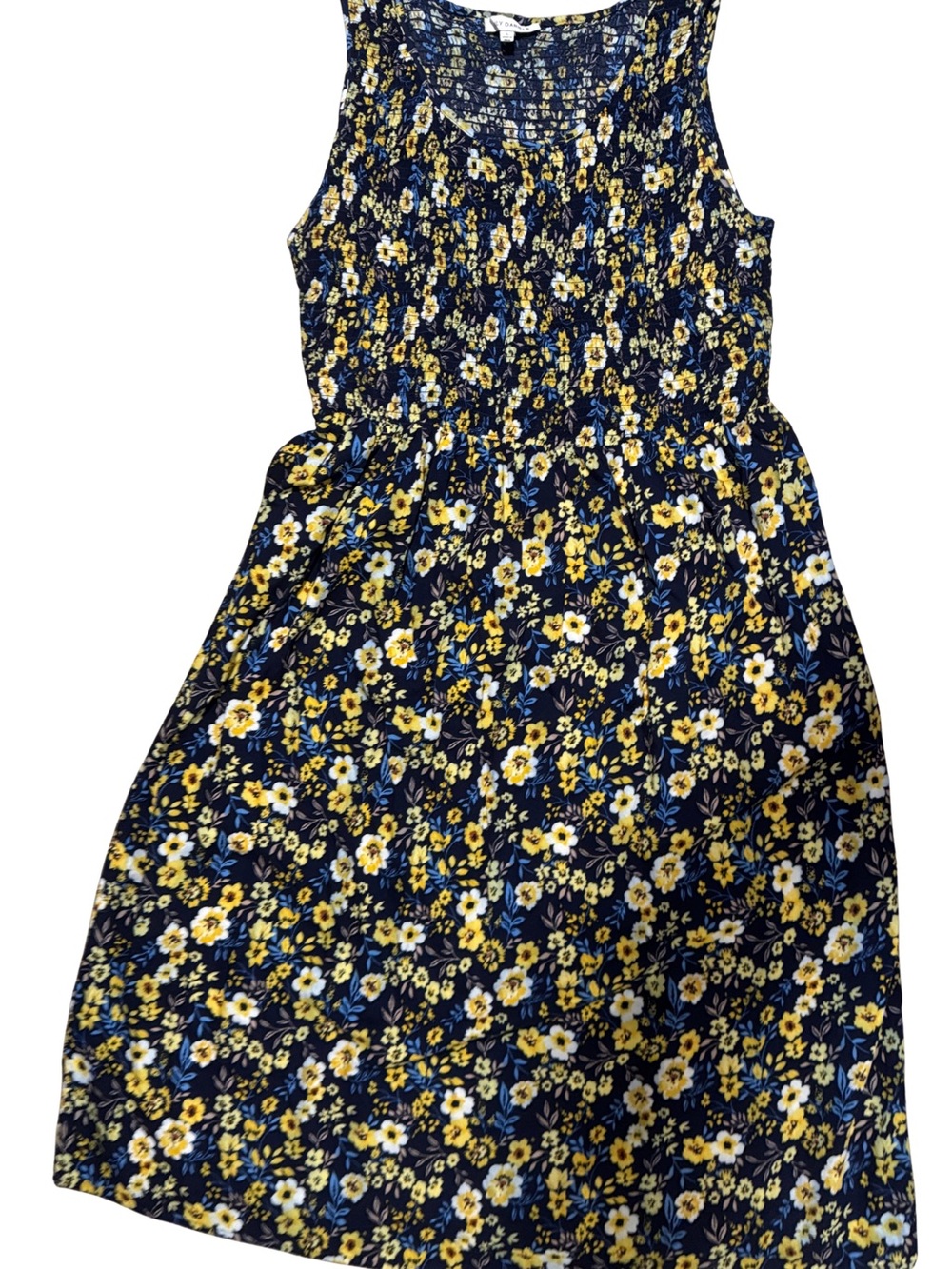 Emily Daniels’ Floral Navy and Yellow Sleeveless Maxi Dress